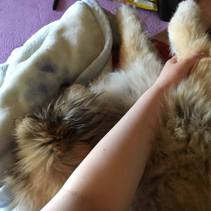 18c4009c 2ce3 432e 8e50 70f19c7d8722 1568614082839