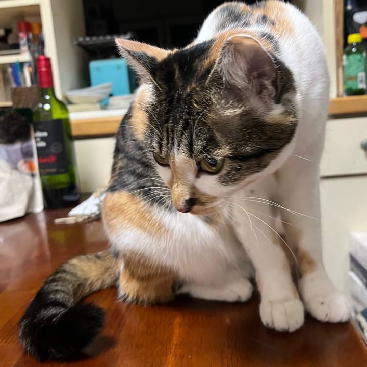 18c40ed6 121b 47bc a9ce 3eaeccf44888 1762657795173