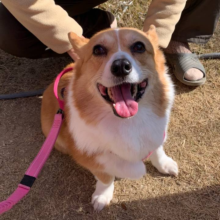 18c439f8 5157 450c 8380 0e16952107af 1640670674101