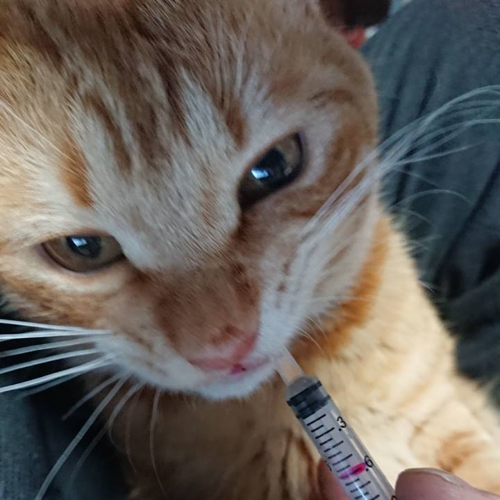 18c44920 d1e4 4d4c bade bebb51134c58 1645652504303