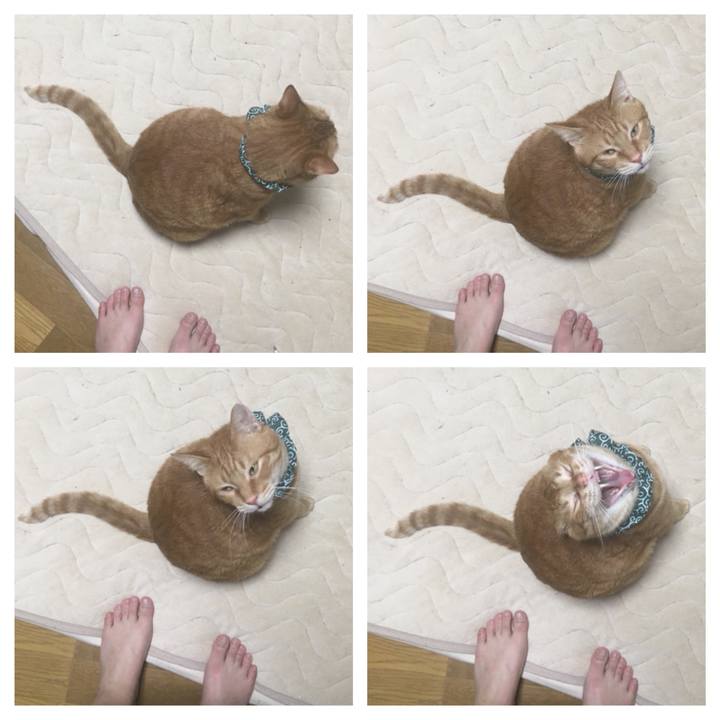 18c44d75 333c 44e7 a72e 32829a183c03 1548674164135