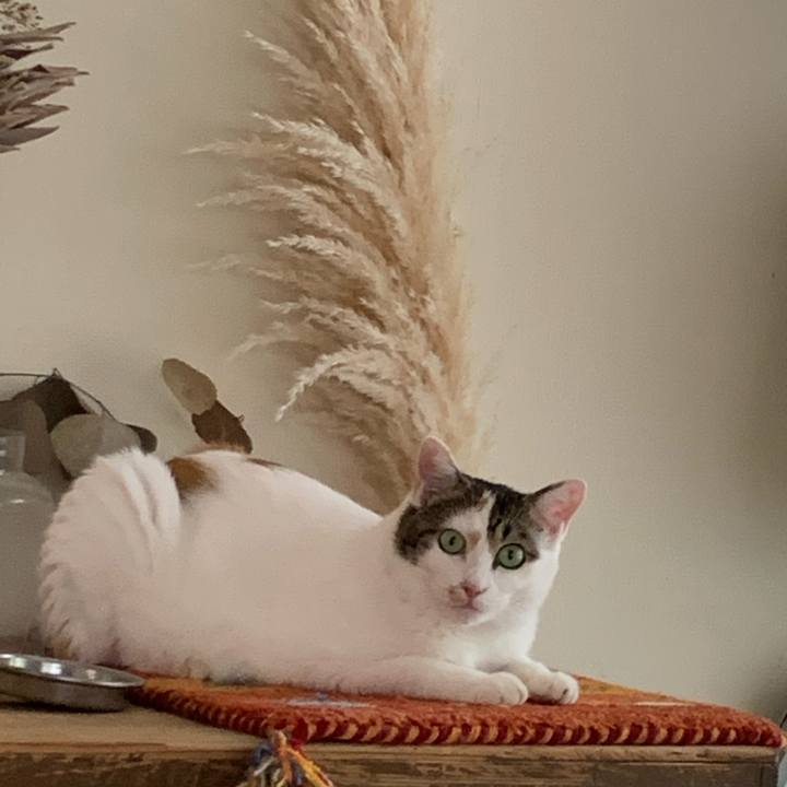 18c46792 c975 485b 8529 4ecb36b84556 1661997327809