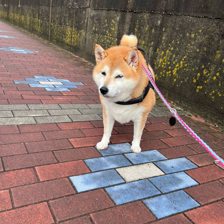 18c49f27 b2ab 4939 8b5e 531650ba93db 1696895021427