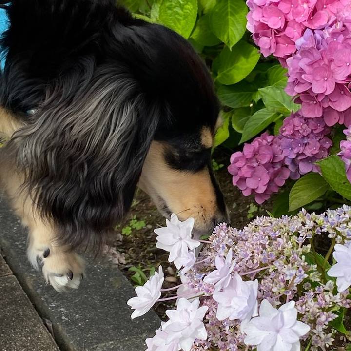 18c4b5df b303 4da2 a802 a33101940a7c 1687307212737