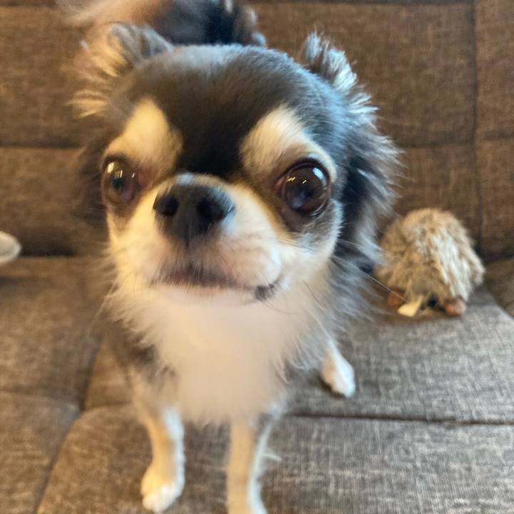 18c4fddf 7f8f 4d49 b696 0669892d3880 1719158523144