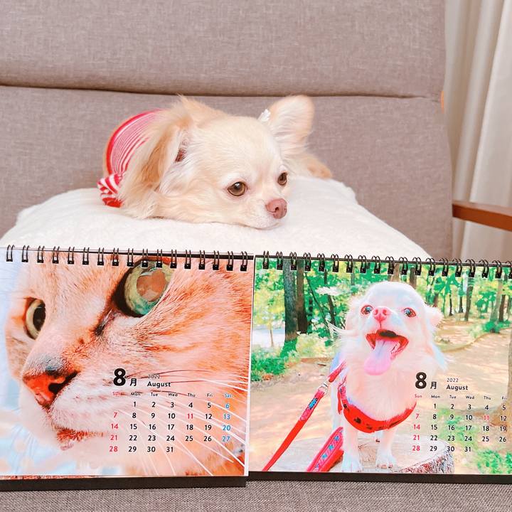 18c52b51 5daa 4178 8cfb 5f9d91389090 1659334537476