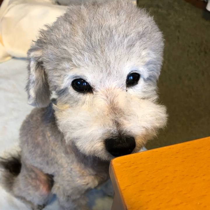 18c53a28 9935 4c97 9ca0 43cc14cc3527 1534721483988