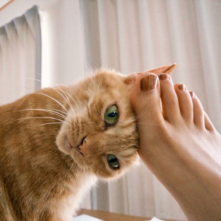 18c5c235 be5b 4676 87ed e78f0b27cbd3 1759649659069