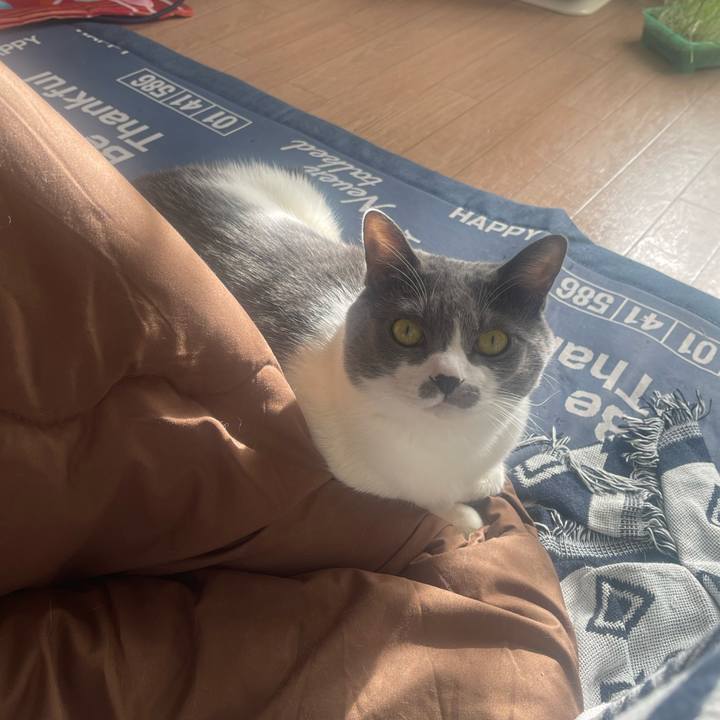 18c5c455 d32c 4ced 8ada 966658fed4ff 1733796446182