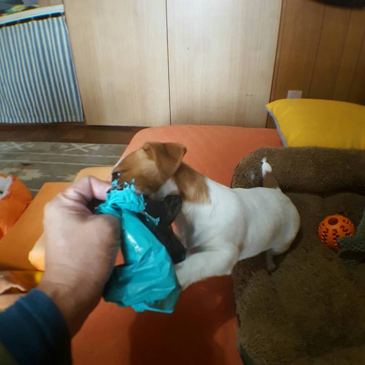 18c5c568 c855 4ffb bc6c 3e61299efdd5 1550543469868