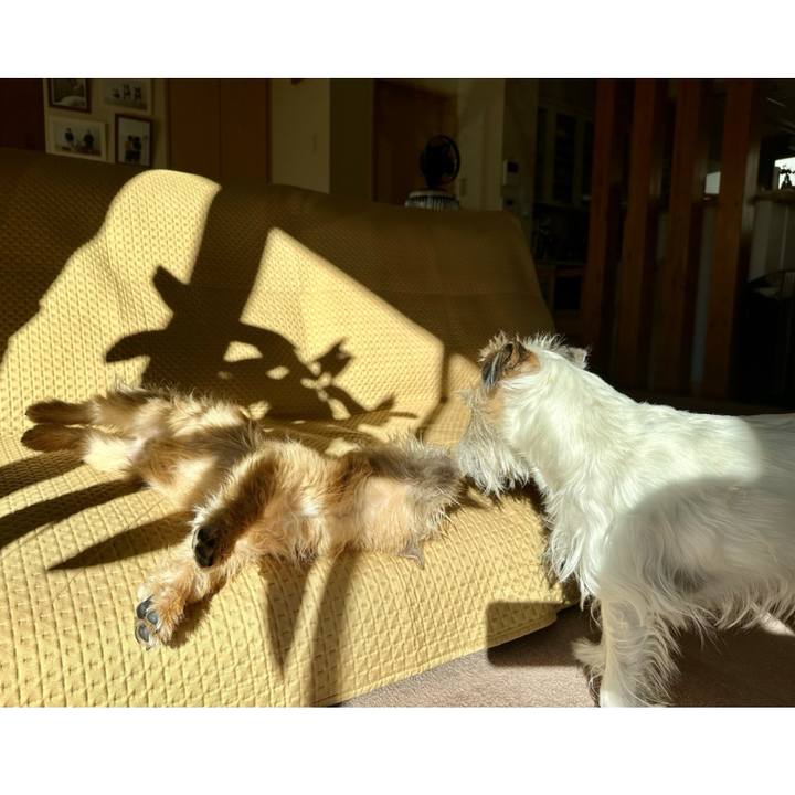 18c5d1a8 813a 41d2 8daf 62eeec2275c3 1706267144628