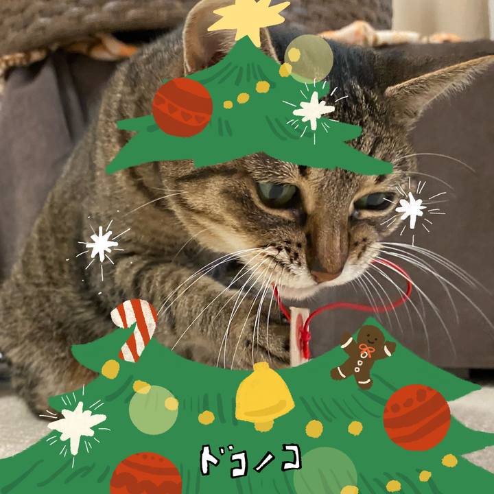 18c5e591 8a3c 4e75 9d85 be07c91e11af 1762440095902