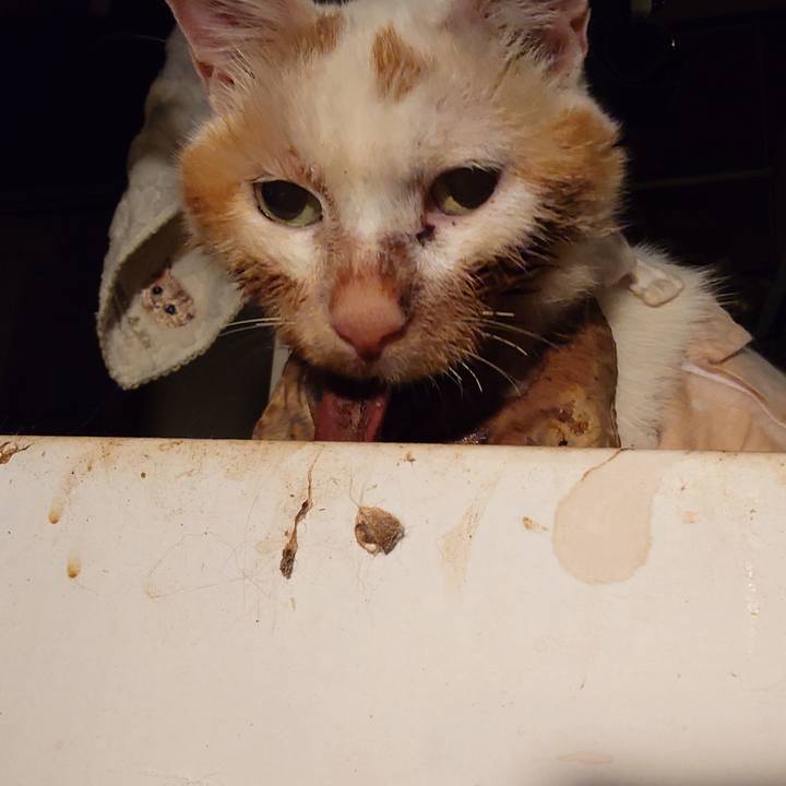 18c5eb6e d87d 4824 992b 2923389c2f3f 1758286730935