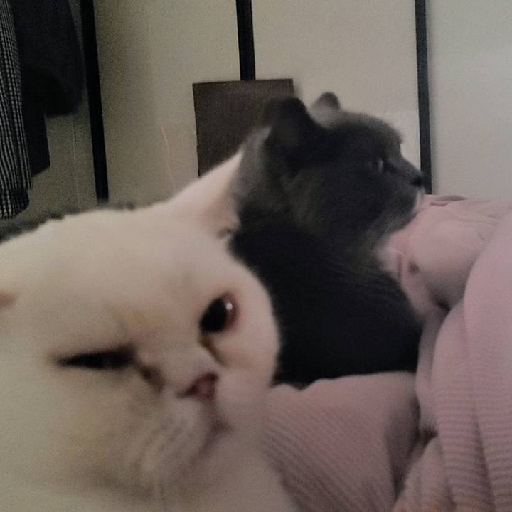 18c5fcc6 ce2e 4e9b ada8 0828452b6f59 1755996727188