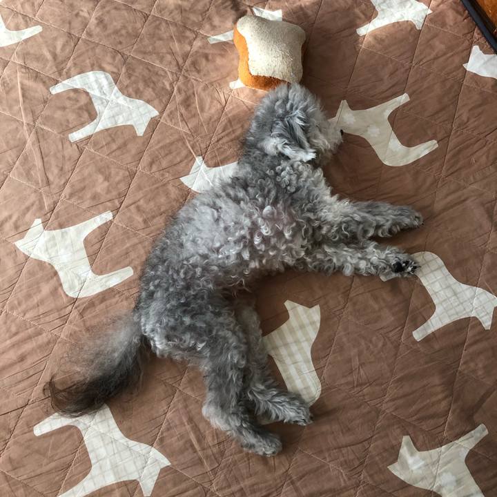 18c6083b ff0c 418b ba98 c77a6fc57c49 1597822058403