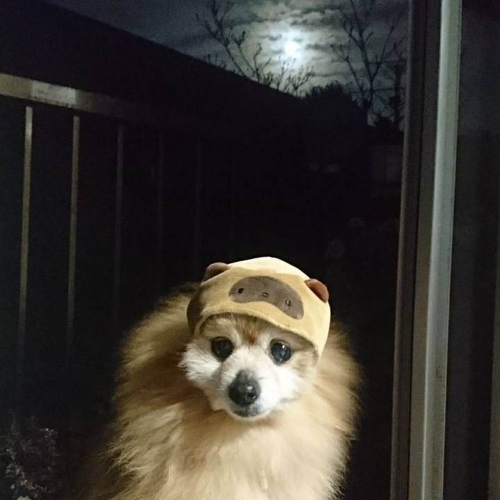 18c63567 5d14 4c19 a5eb 838d603f8af0 1522495522244