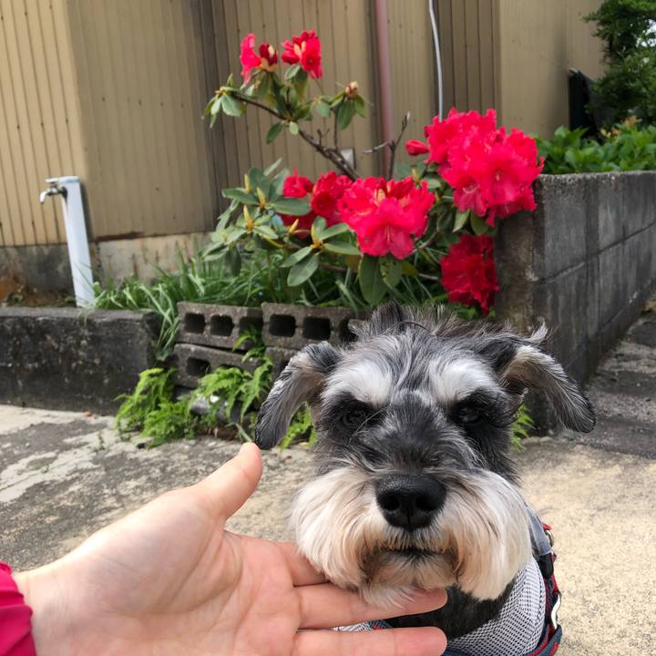 18c6b576 4999 4f85 b2e8 2264d6d318cb 1651206322556