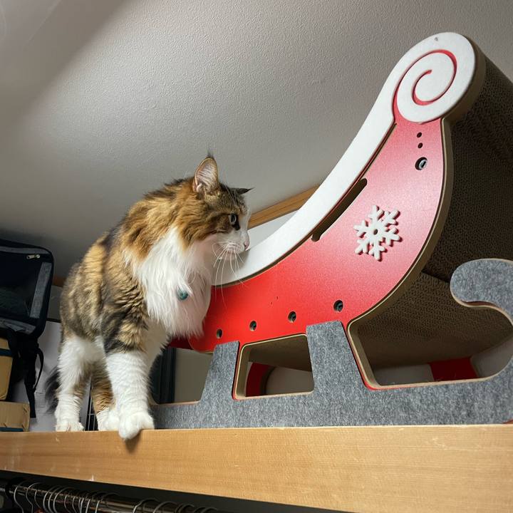 18c6b847 9882 4f9c b166 f824ce9669cb 1725997787162