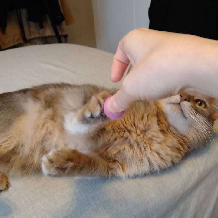 18c6d1ad 2d4d 4ba1 9b51 c2136299263d 1623655672378