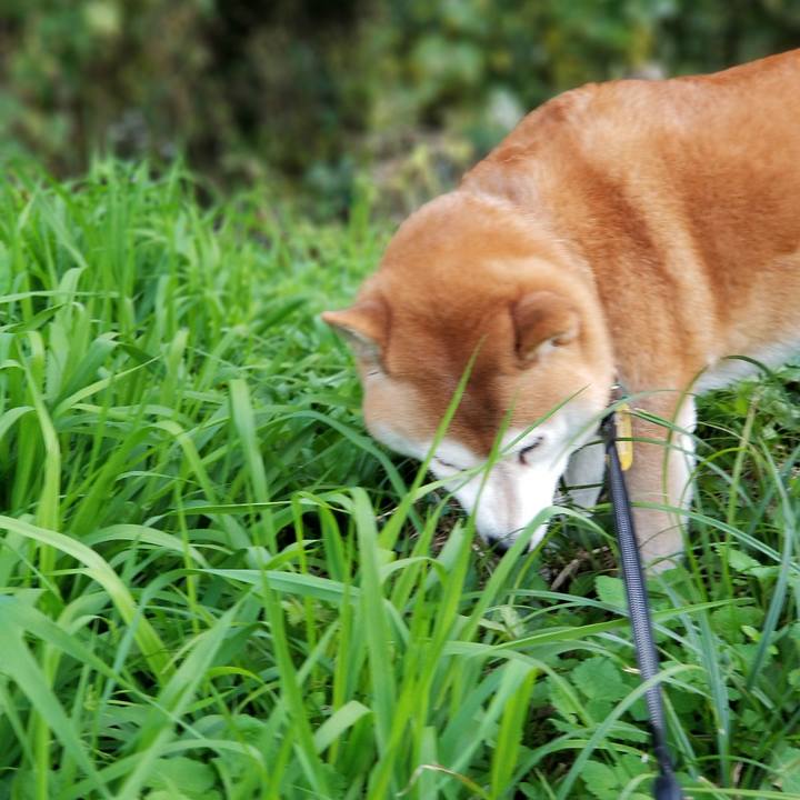 18c6dc57 5449 4eb4 9031 457b3892223a 1603782455914