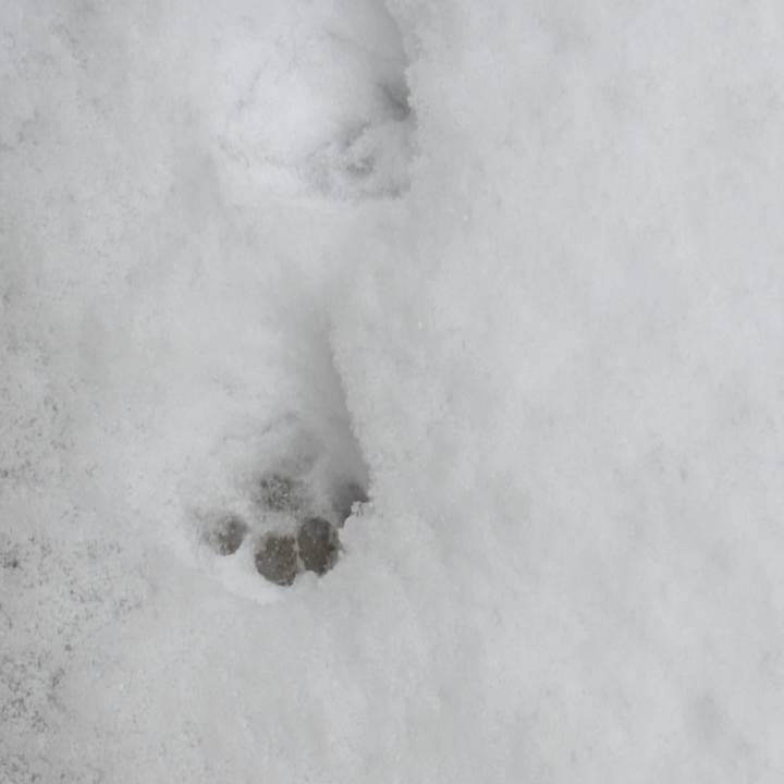 18c6f58b f6fd 4624 a244 bbe777fcfc6c 1770517608971