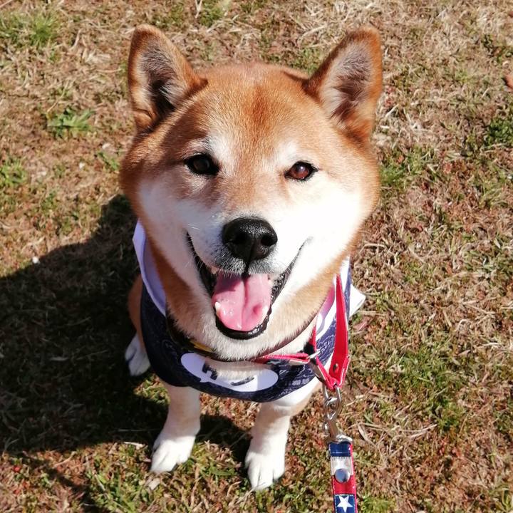 18c6f59f f386 40f1 a47a e35a81535782 1646491253499