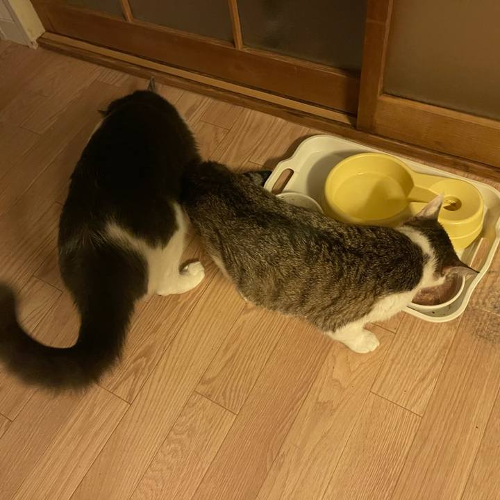 18c6fe7a afe4 43dd a345 5e691f08162c 1630058297500