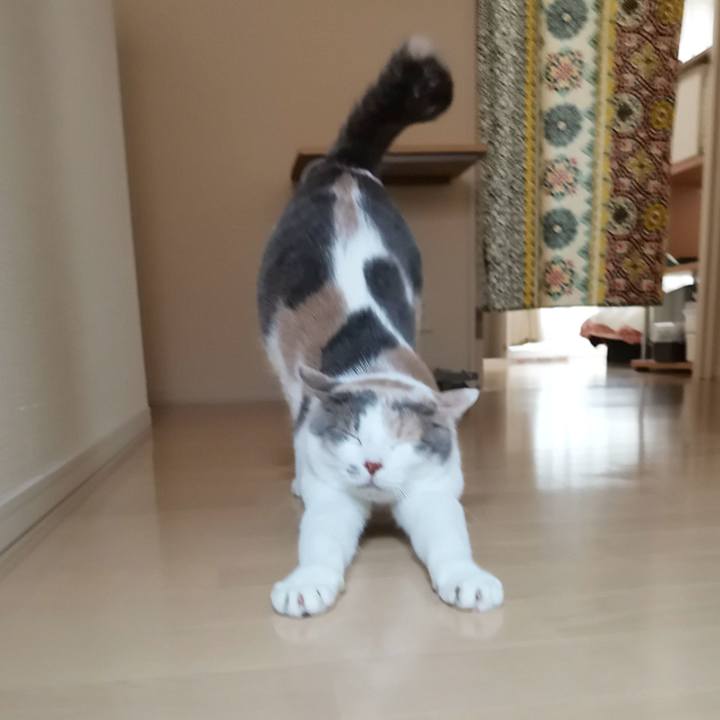 18c70ecd d556 4853 91b9 f71405822d09 1649390175171