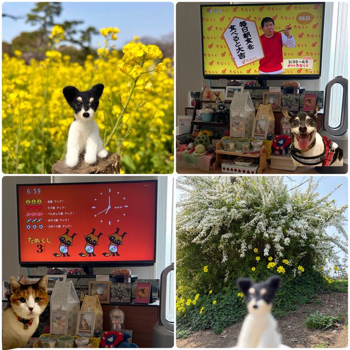 18c7223f 87d1 4369 9c7c 77b009a1e9b1 1774825730960