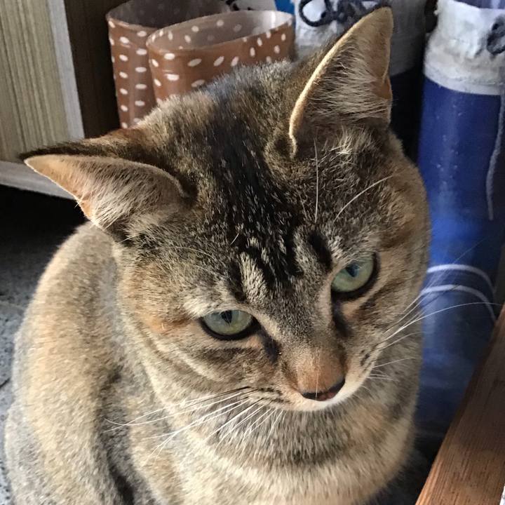 18c724cf 9fda 4a43 abd0 7e148fcac817 1581756594913