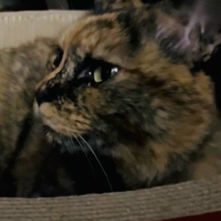 18c76227 ad9e 4922 a42b 0702d888f9eb 1760905928278