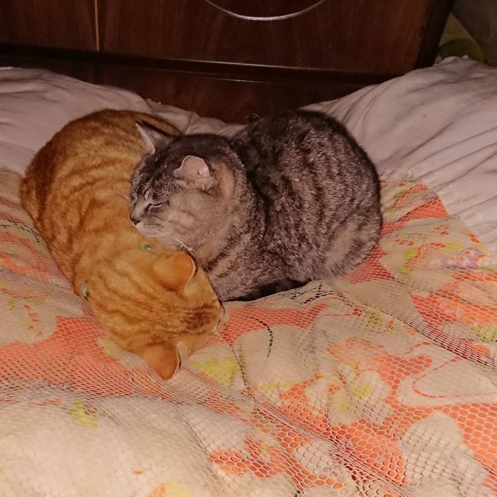 18c7afa1 c172 47fa 9c02 649219416b58 1584369841288