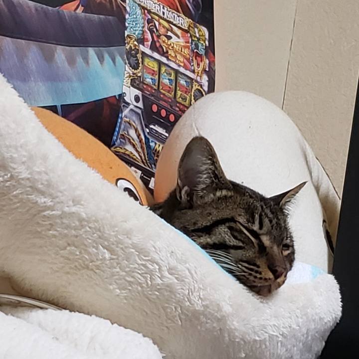 18c7c9f3 640c 4cb9 b96f b7da85f60f02 1554861041767