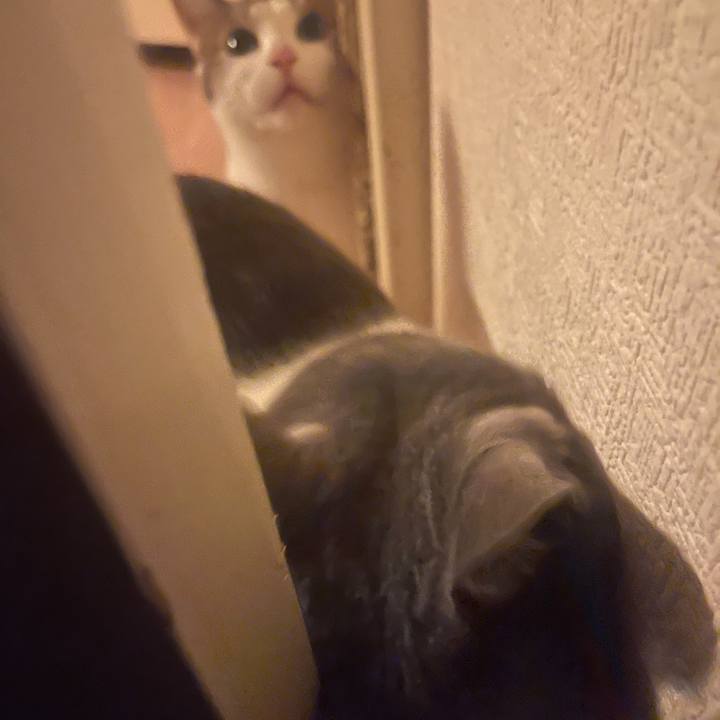 18c7cc39 d53e 41a7 9163 55caf3a1e02c 1629541415328