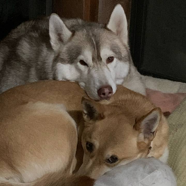 18c7d16d 92d3 4ef1 a1bd f7c937f0f421 1610976785356