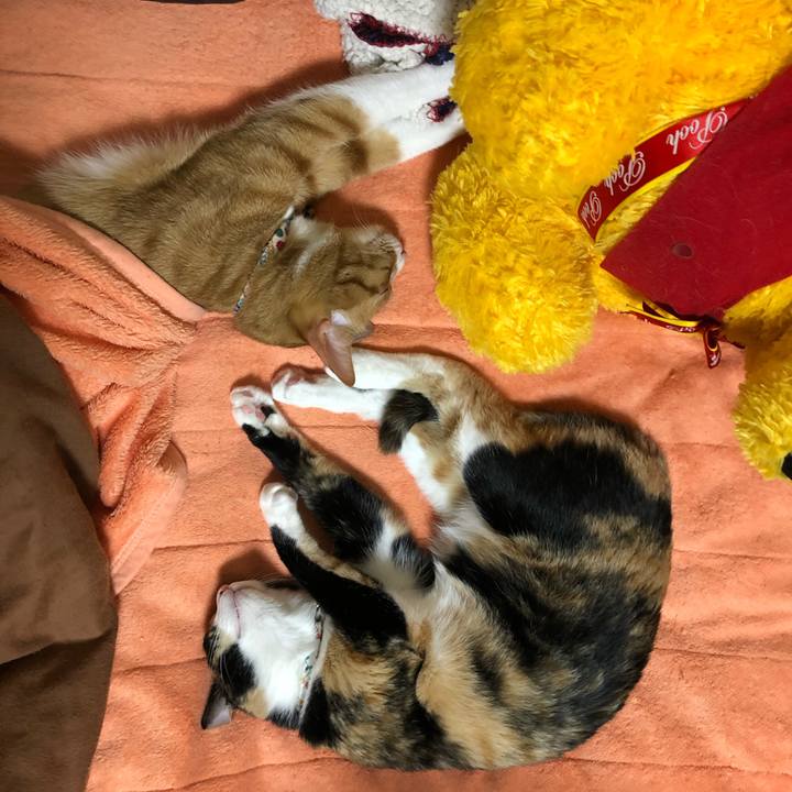 18c7e109 0430 4697 9bb0 f34c4bc06ee1 1572354100054