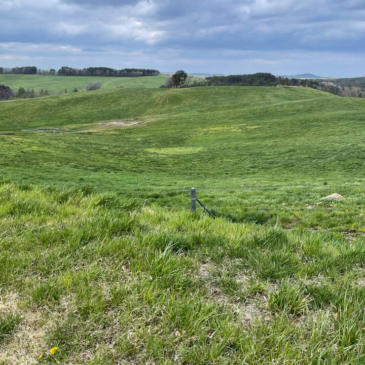 18c7e50d 7b7c 4ede a0c6 93163c858a44 1620037113650