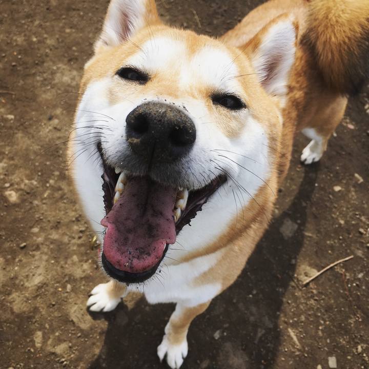 18c7e641 5108 467f 8543 a80471e9055f 1522153787375