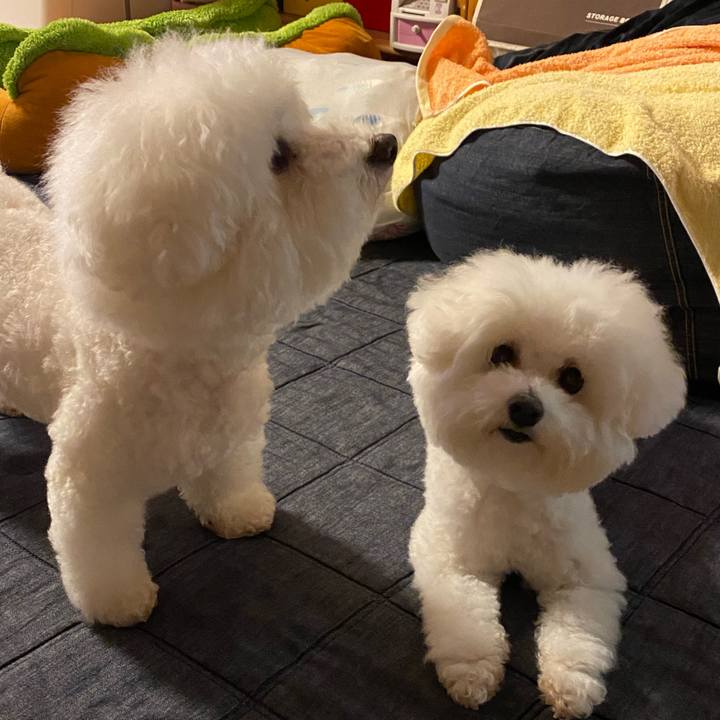 18c81b79 e12c 4777 b27d 5288680bf9a9 1657884708379