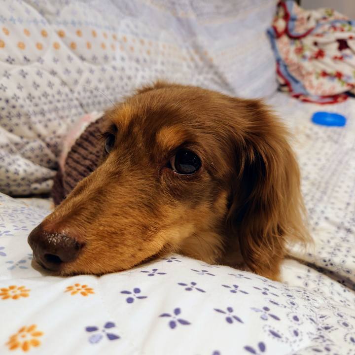 18c82e26 ae4d 4b1b abf5 b981723ec822 1709216576789