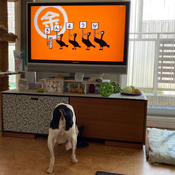 18c83647 7f7f 434d 876e 5c695586c452 1591311581195