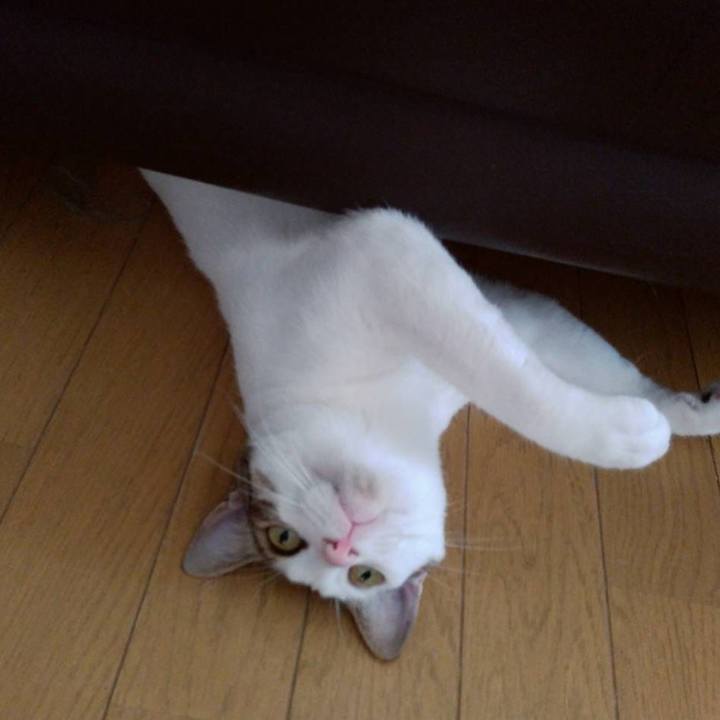 18c839c1 b546 45cf 8f54 46eccee3fe65 1688182908012