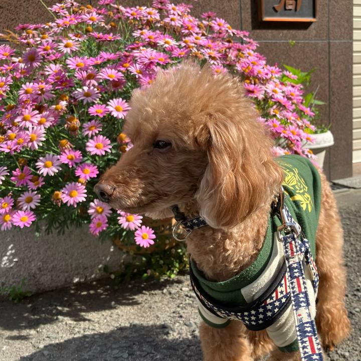 18c84709 01f0 4ccc 92e2 4947948d9d6f 1703066217386