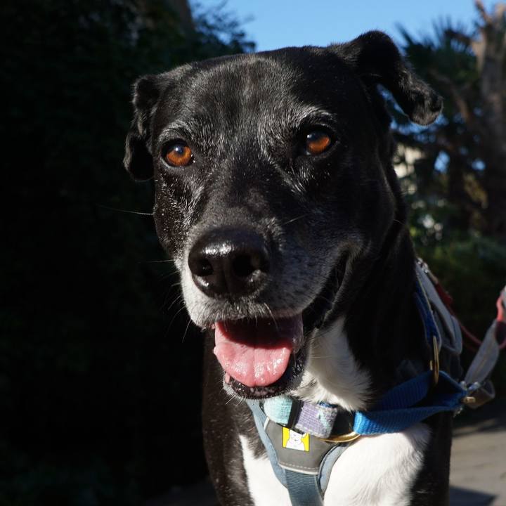 18c850ab 677f 41a9 819c e7e756d3b383 1762131665698