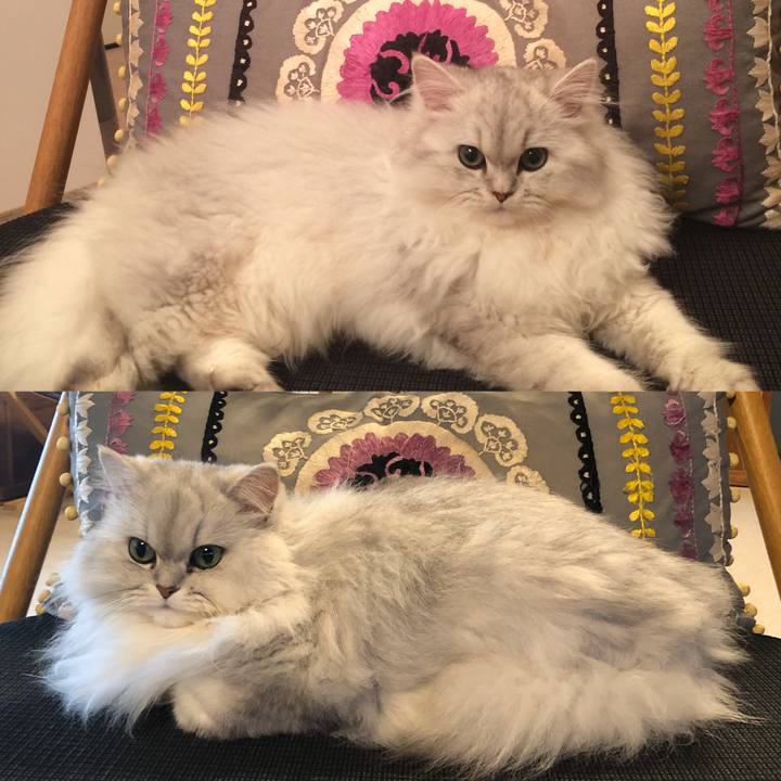 18c8575b 9a36 4df6 8bfe e43f9f5aff13 1579863041398