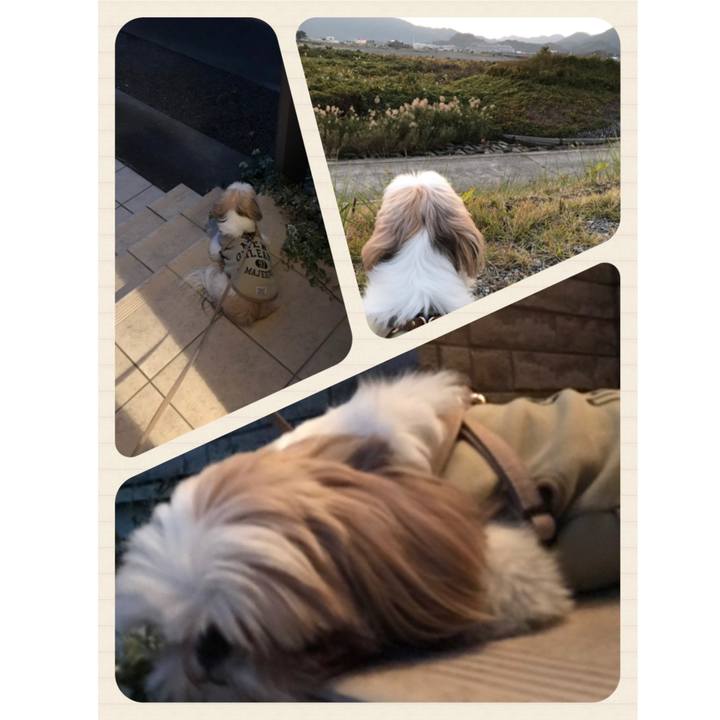 18c8a1de 0c68 4fd0 a95a 83b14e178ebb 1605671167832