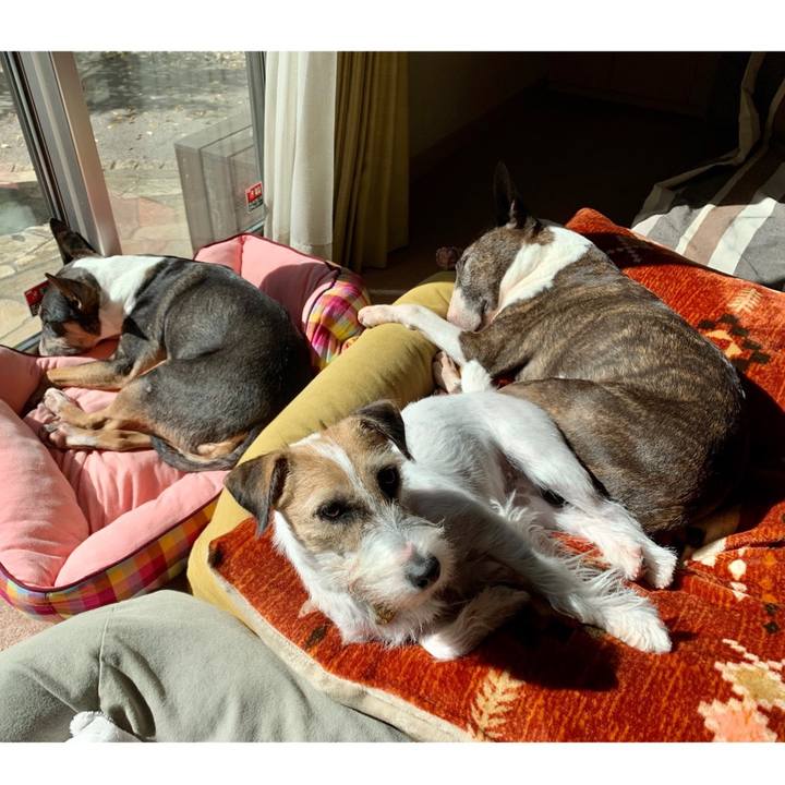 18c8af7a 6563 4112 b78b f4a4d4689267 1603598552667