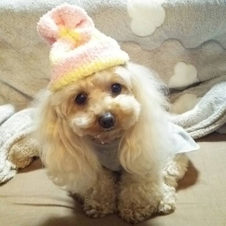 18c8be20 64e0 4ded 93d1 c843a9bf9302 1525837921527