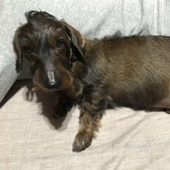 18c8cf96 5aee 4bc9 a7d0 526ac1c83b96 1518187848191