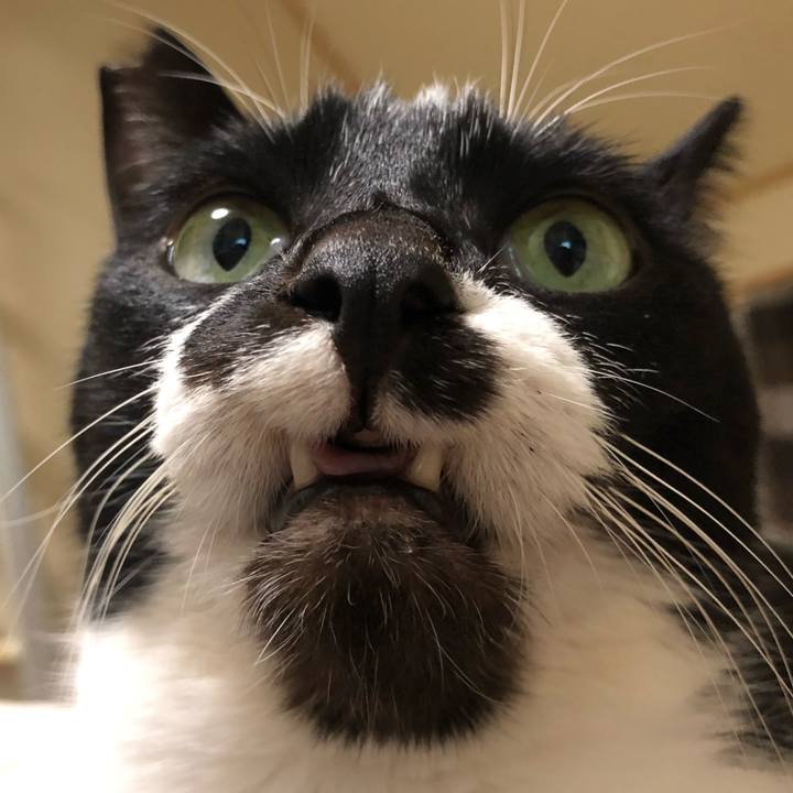 18c915c2 e3cf 4bd5 b29d 1aa093cdcef4 1639395264115